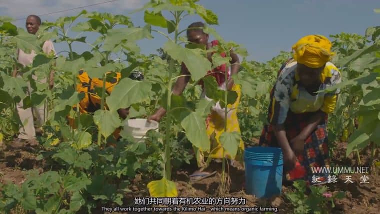 粮食竞争 The Food Race插图4