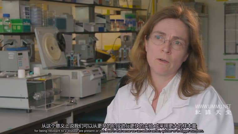 粮食竞争 The Food Race插图5