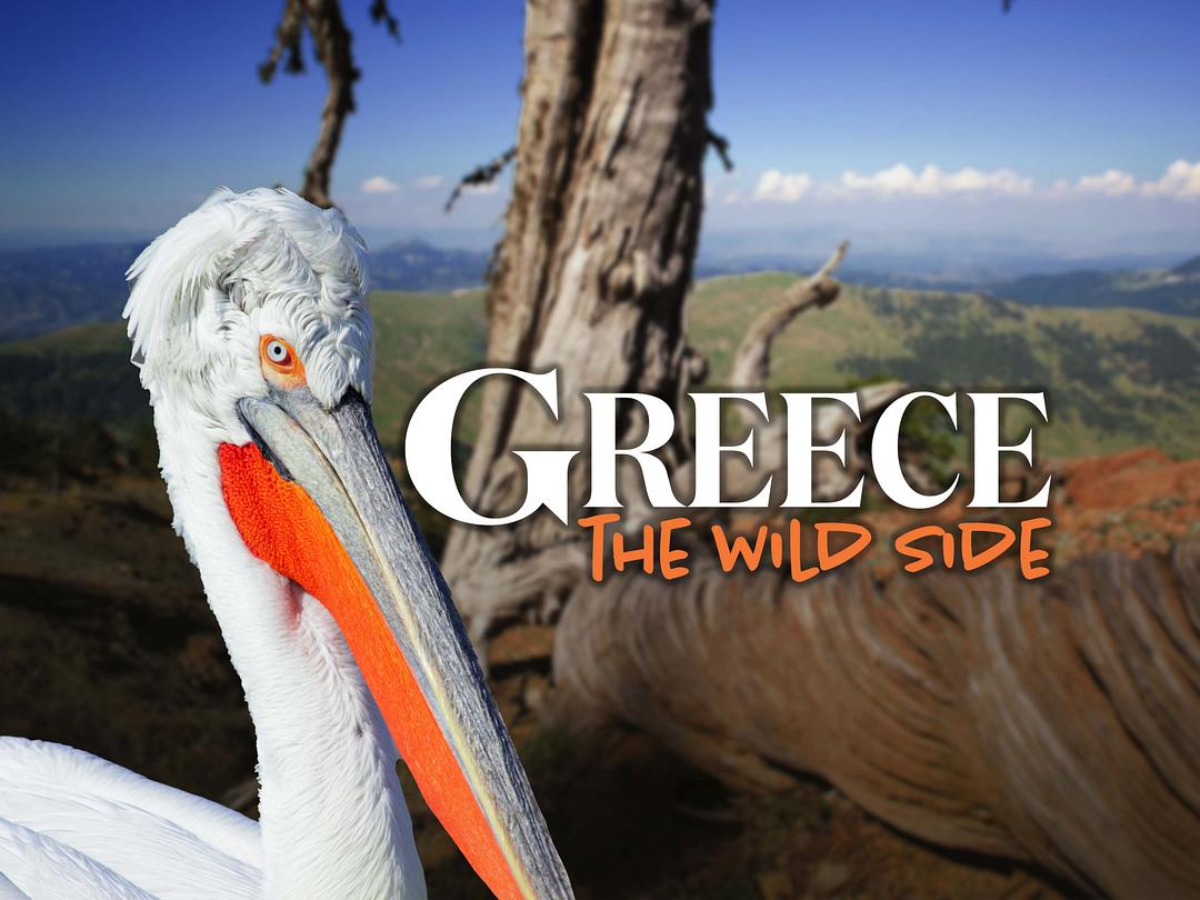 希腊的野性之美 Greece – The Wild Side插图2