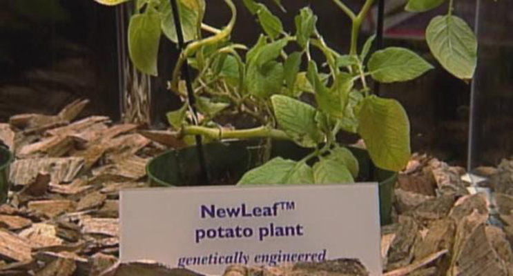 植物的欲望 The Botany of Desire插图3