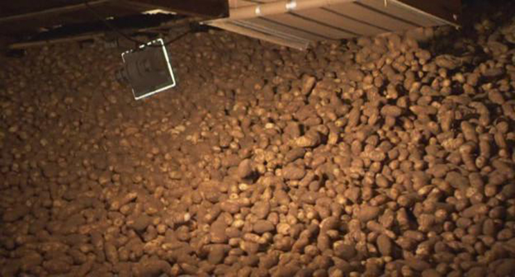 植物的欲望 The Botany of Desire插图7