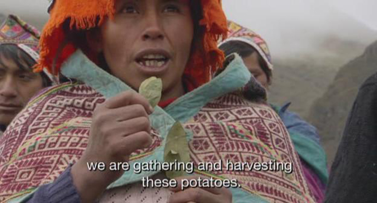 植物的欲望 The Botany of Desire插图8