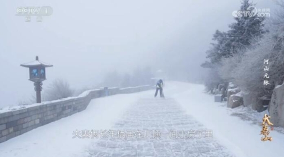 [大泰山][6集]插图3