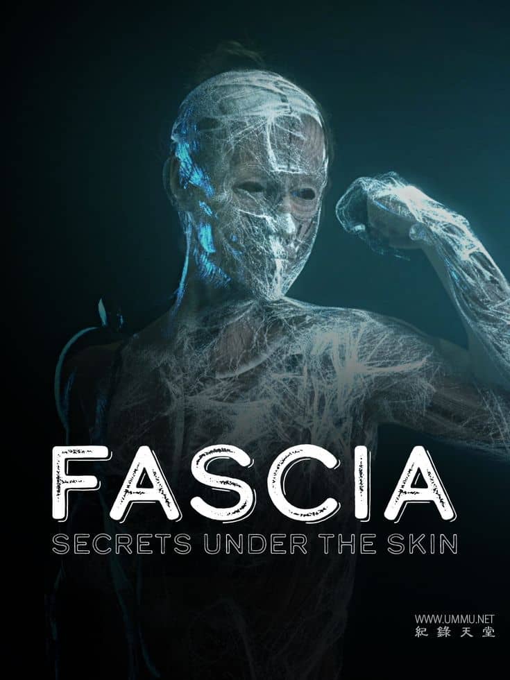 筋膜：皮肤下的秘密 Fascia: Secrets under the Skin插图