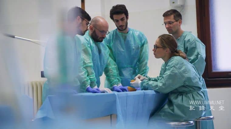 筋膜：皮肤下的秘密 Fascia: Secrets under the Skin插图3