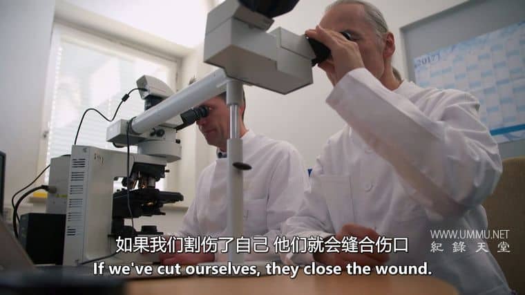 筋膜：皮肤下的秘密 Fascia: Secrets under the Skin插图4