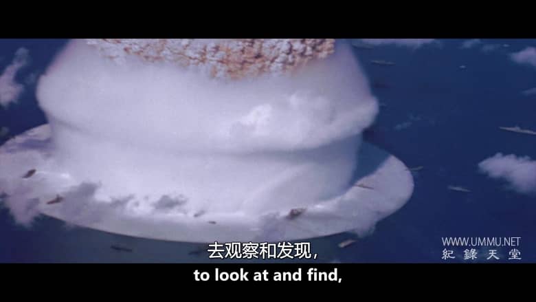 顺风 Downwind插图3