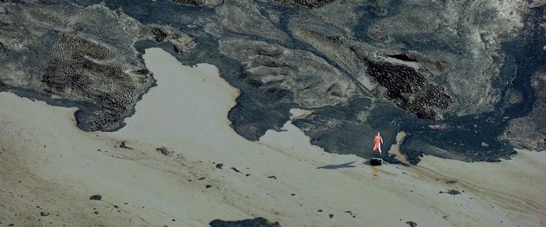 明天 Demain插图8