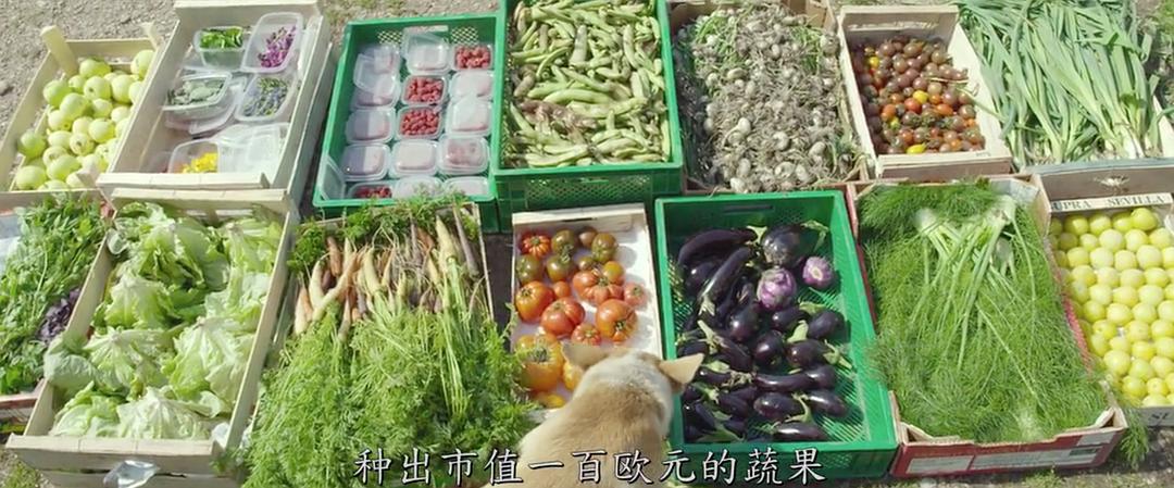 明天 Demain插图9