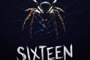 十六条腿 Sixteen Legs