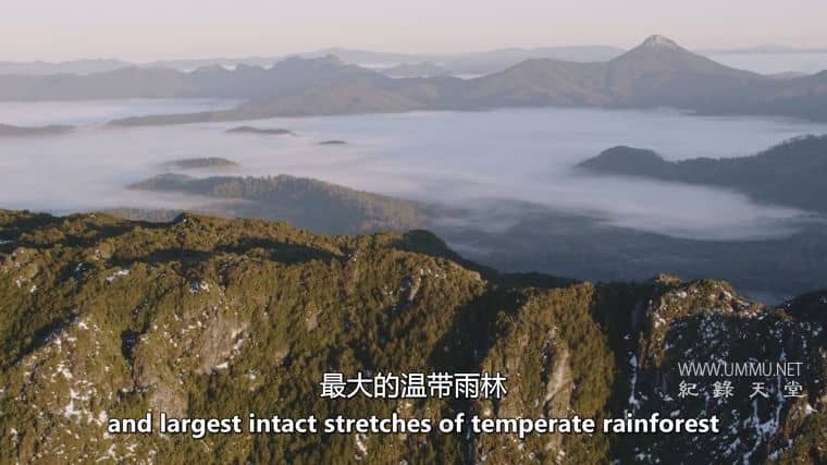 十六条腿 Sixteen Legs插图1