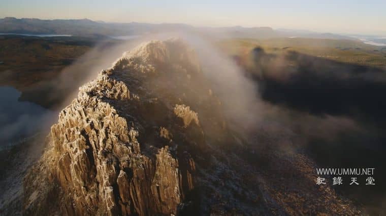 十六条腿 Sixteen Legs插图2