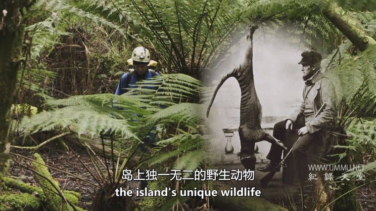 十六条腿 Sixteen Legs插图4