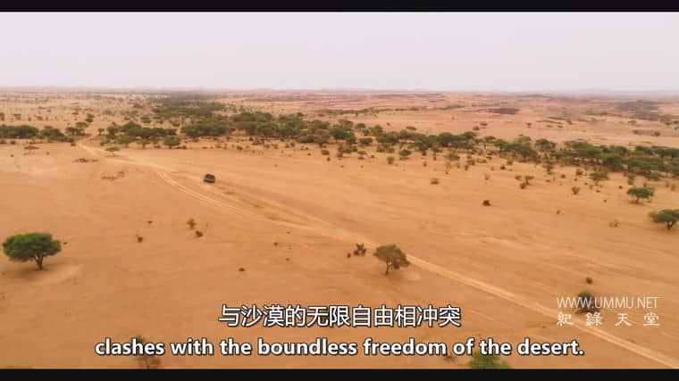 撒哈拉沙漠 Sahara插图2