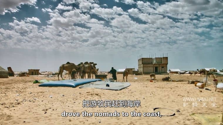 撒哈拉沙漠 Sahara插图3