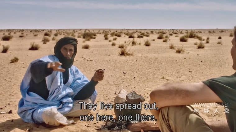 撒哈拉沙漠 Sahara插图4