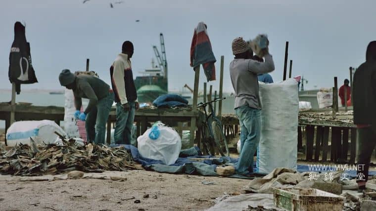 撒哈拉沙漠 Sahara插图6