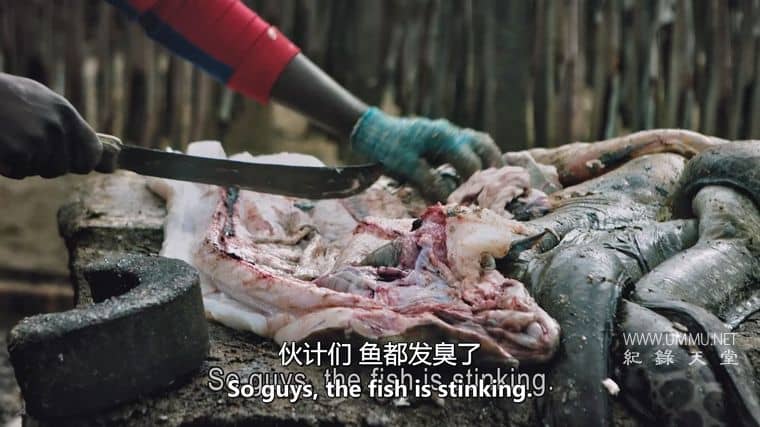 撒哈拉沙漠 Sahara插图7