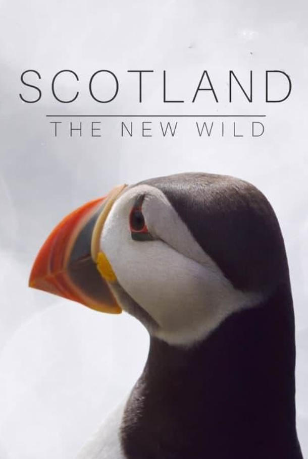 苏格兰：荒野新生 Scotland：The new Wild插图
