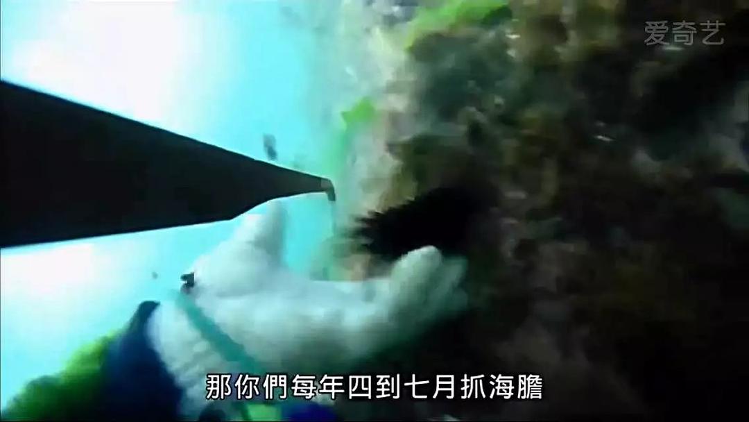 台湾食堂 台灣食堂插图5