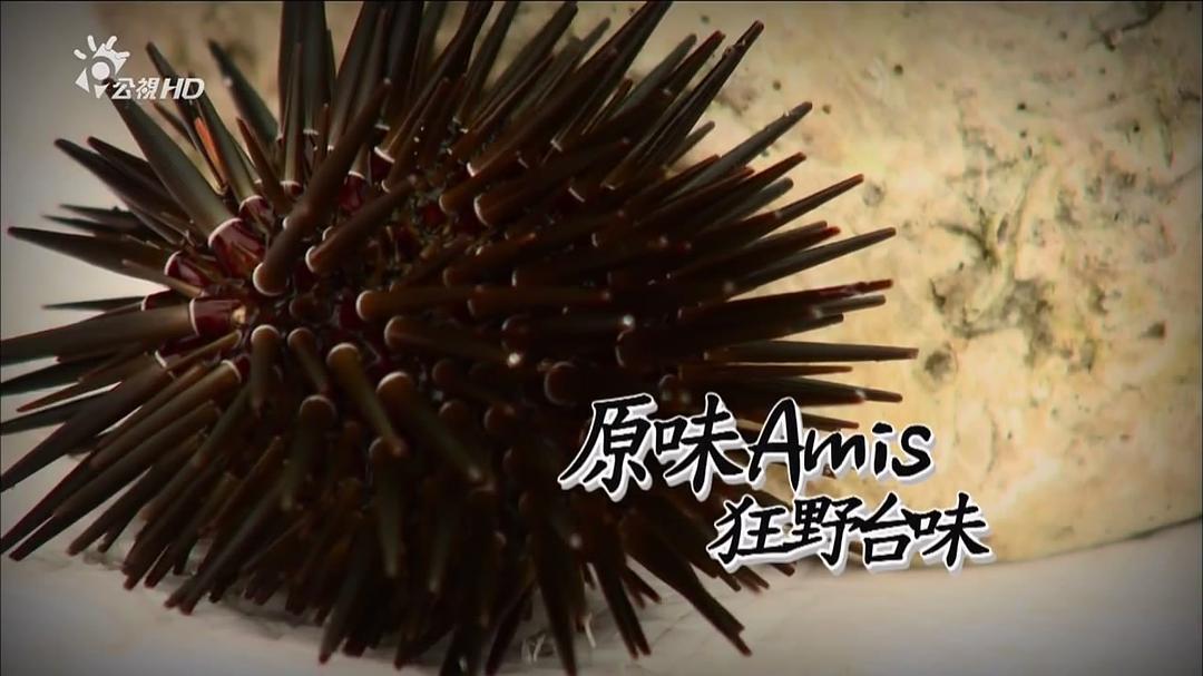 台湾食堂 台灣食堂插图7