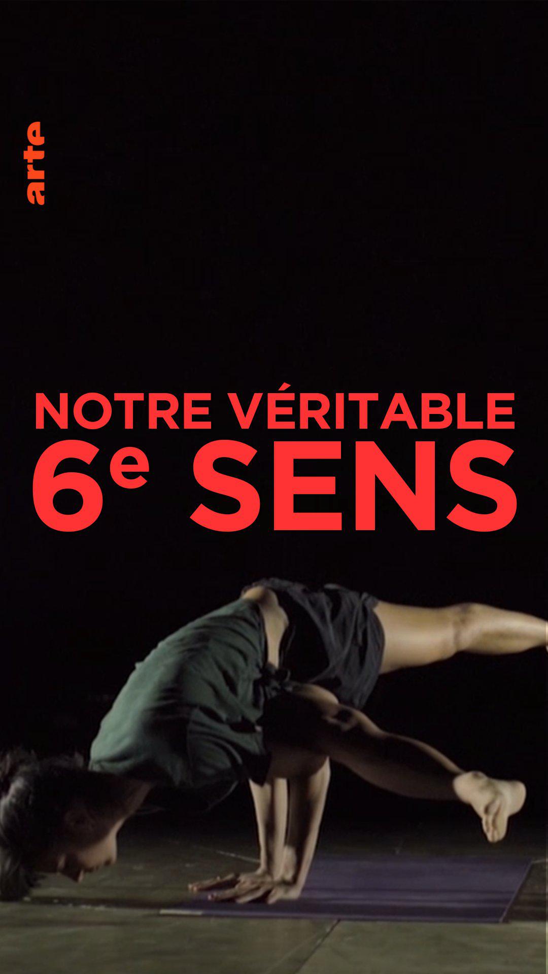 神秘第六感 Notre véritable 6ème sens插图1