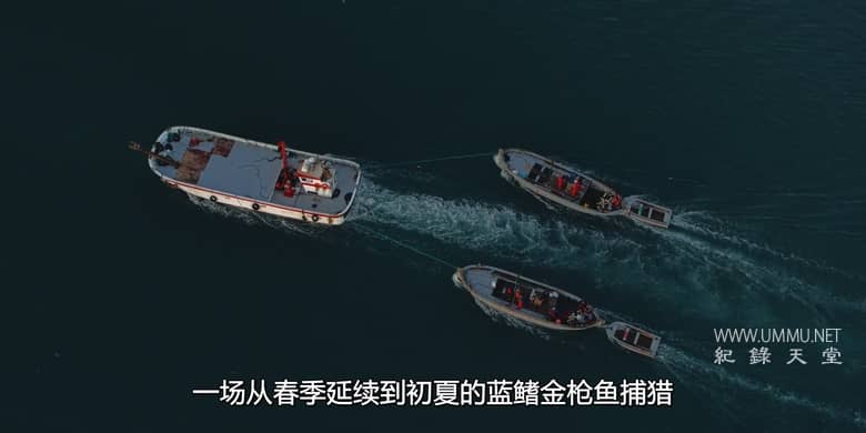 杂食记 Omnivore插图1