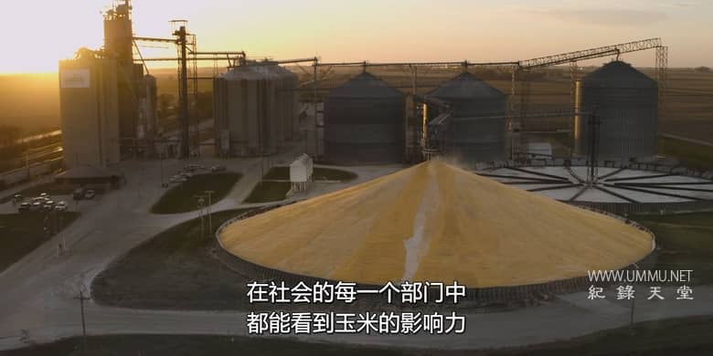 杂食记 Omnivore插图3