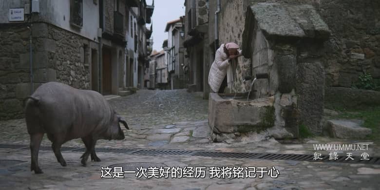 杂食记 Omnivore插图5