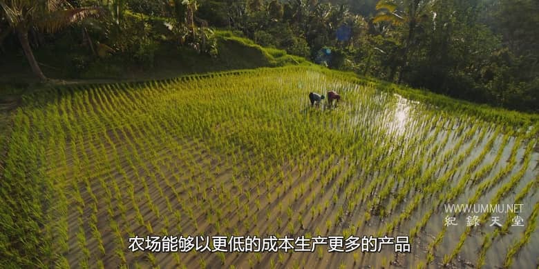 杂食记 Omnivore插图7