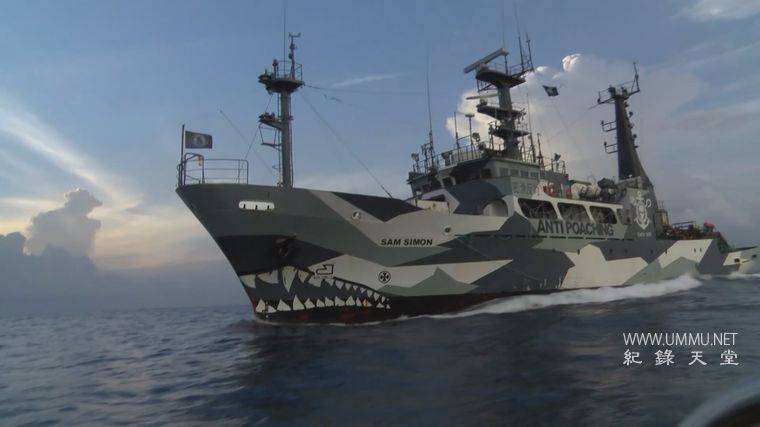 海洋战士 Ocean Warriors插图1