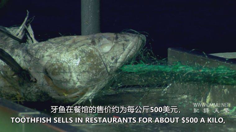 海洋战士 Ocean Warriors插图3