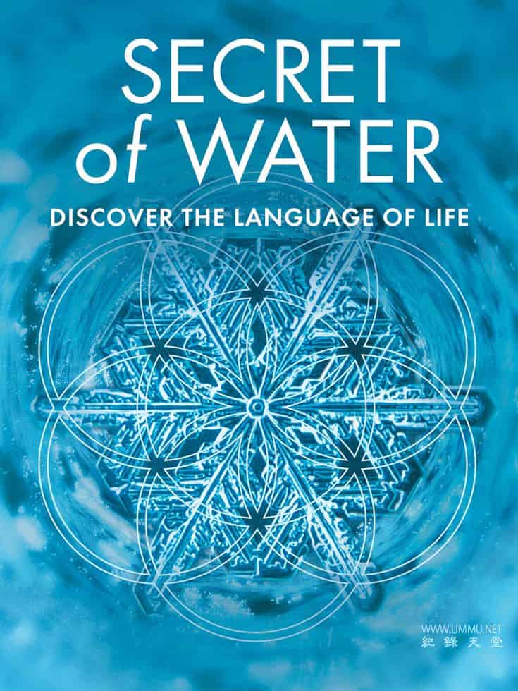 水的秘密 Secret Of Water插图