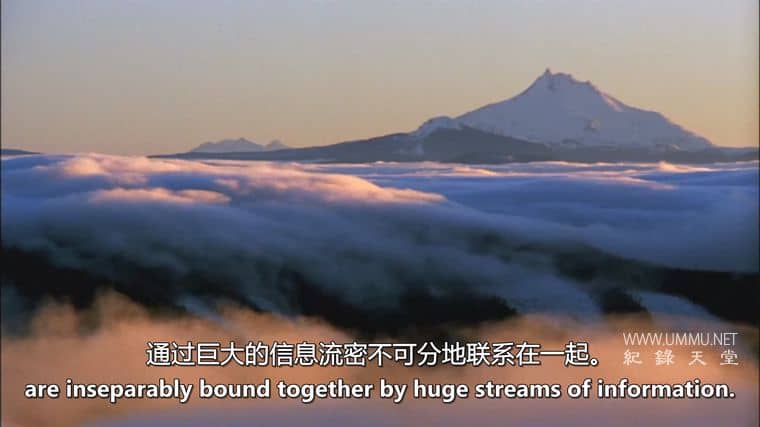 水的秘密 Secret Of Water插图1