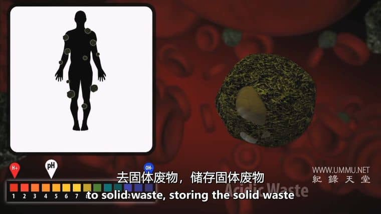 水的秘密 Secret Of Water插图4