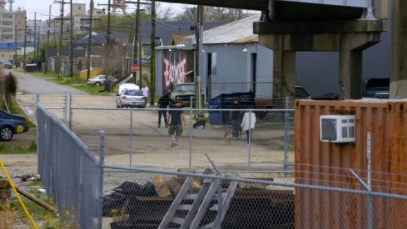 狗儿救援迎新生  第9季  Pit Bulls and Parolees插图2