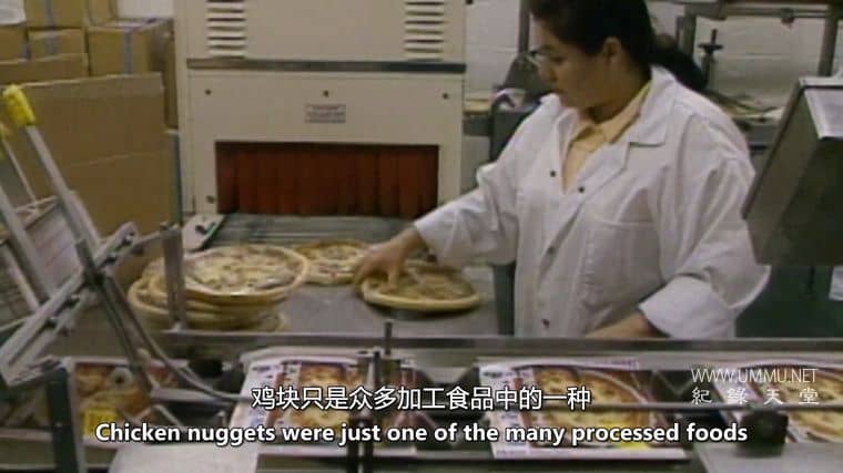 及时回来吃晚饭 Back in Time for Dinner插图3