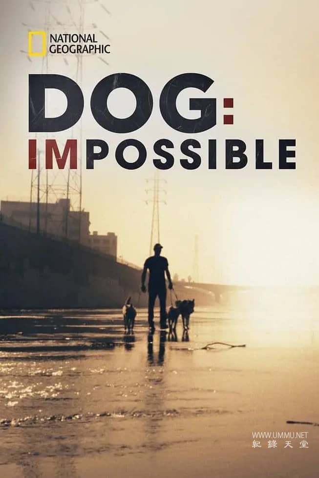 狗：不可能 Dog: Impossible插图