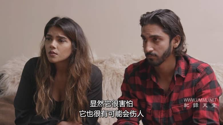 狗：不可能 Dog: Impossible插图2