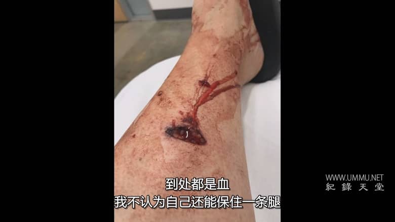 狗：不可能 Dog: Impossible插图6