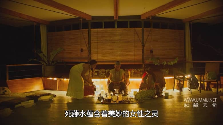 阿伦·罗杰斯：迷之四分卫 Aaron Rodgers: Enigma插图3