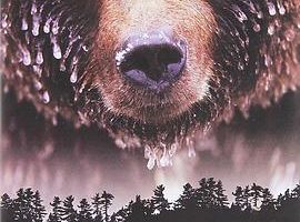 野性加拿大 第一季 Wild Canada Season 1