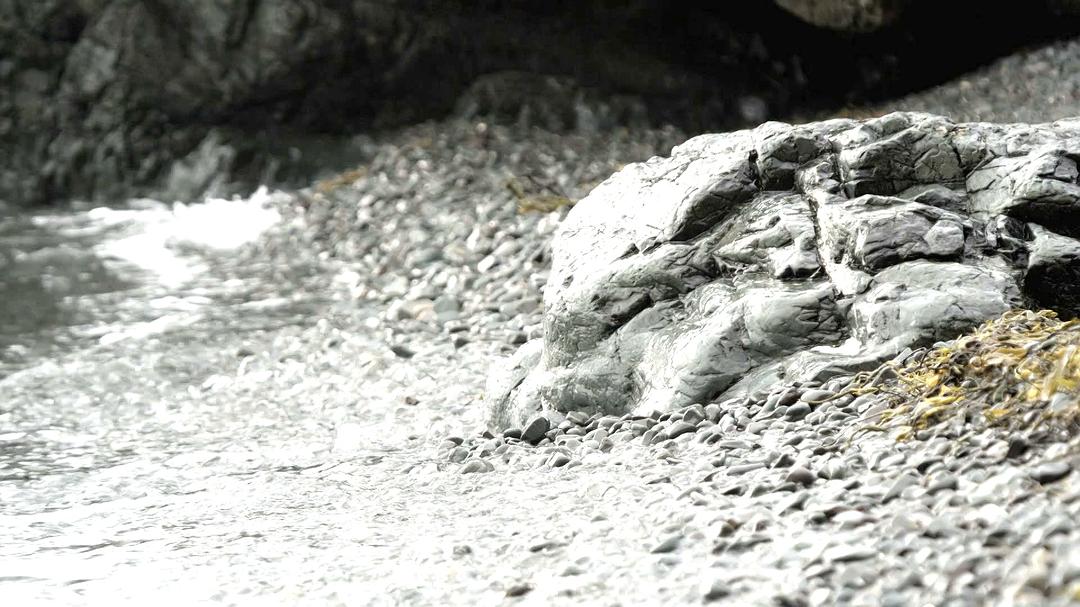 野性加拿大 第一季 Wild Canada Season 1插图14