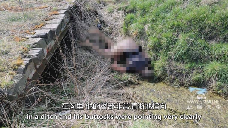 侦探：我的杀手案件 Detectives: My Killer Case插图1