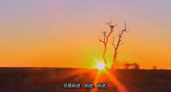 卡车游内陆 第4季 Outback Truckers插图3