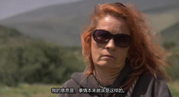 [狗儿救援迎新生 第2季 Pit Bulls and Parolees插图1