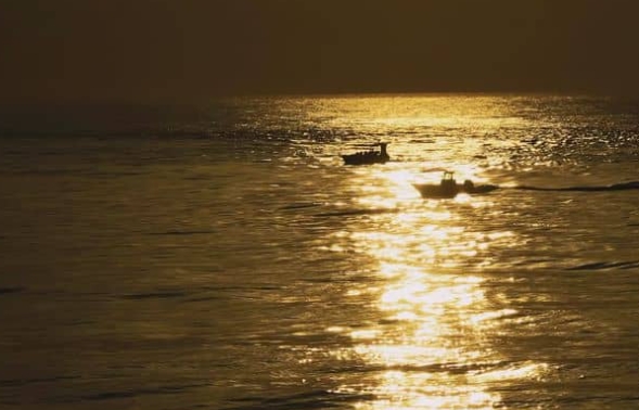 人间有味山河鲜 第2季插图1