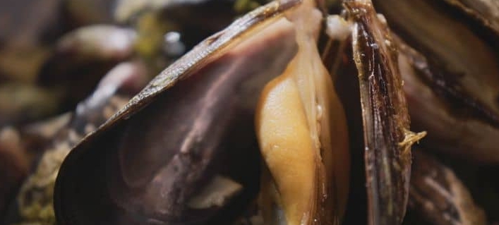 人间有味山河鲜 第2季插图2