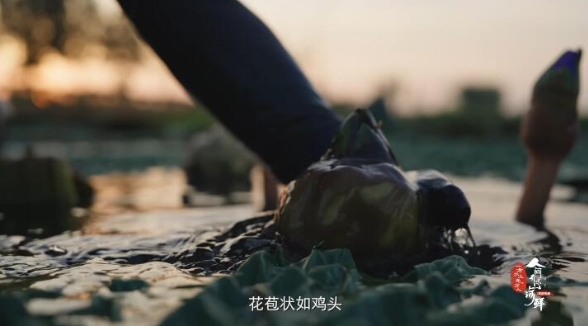 人间有味山河鲜 第3季插图2