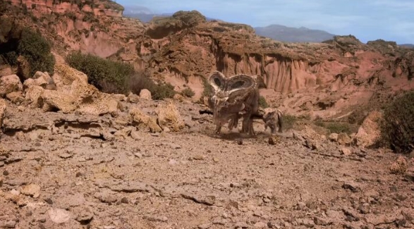 《恐龙进化史 Dinotasia》插图4